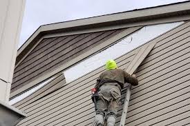 Best Custom Siding Design  in Withamsville, OH